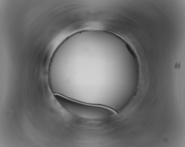 X0000112151488200908281328