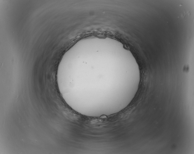 X0000112151489200908281328
