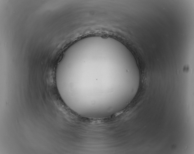 X0000112151490200908281328