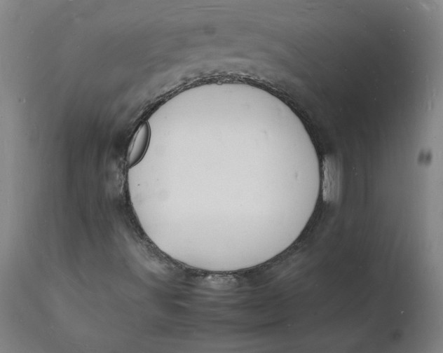 X0000112151491200908281328