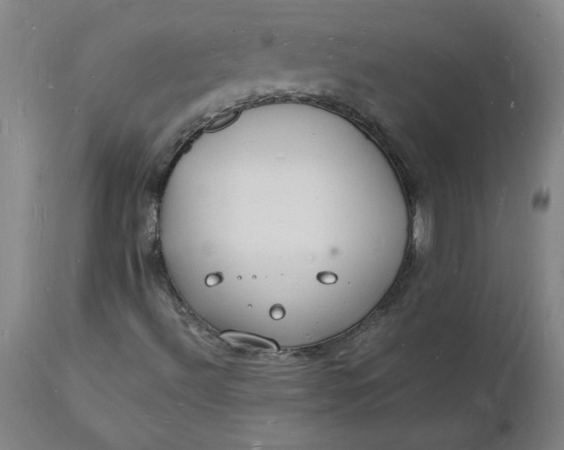 X0000112151492200908281328