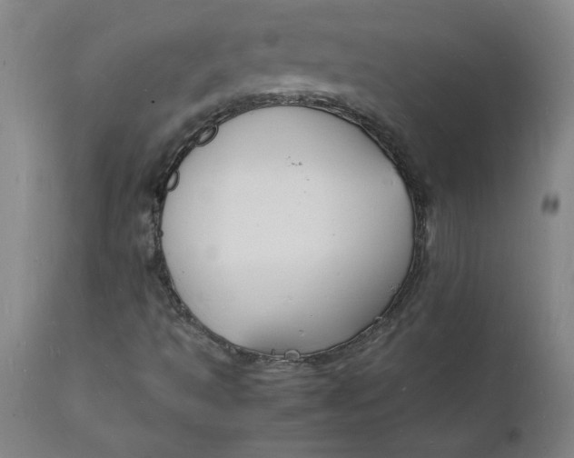 X0000112151493200908281328