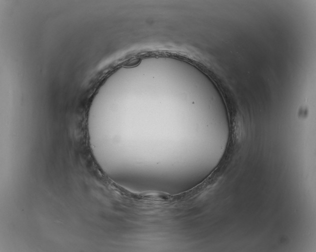 X0000112151494200908281328