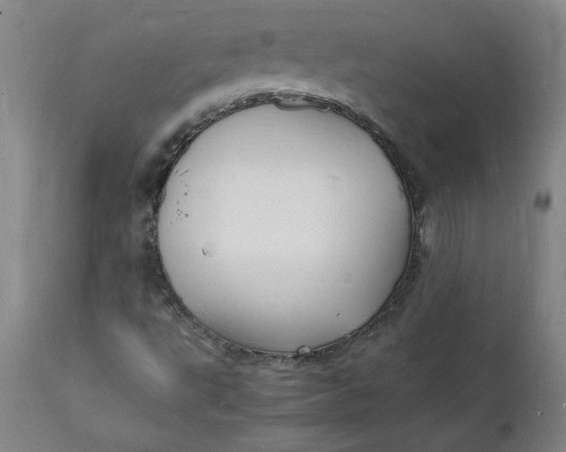 X0000112151495200908281328