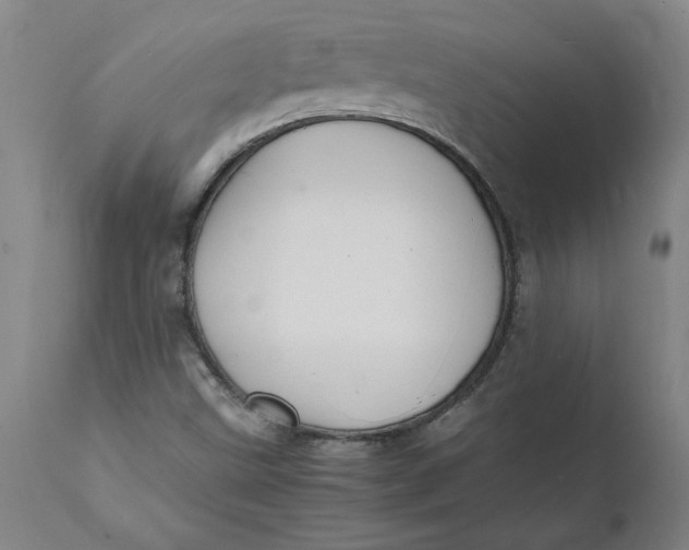 X0000112151499200908281328