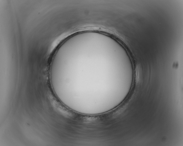 X0000112151501200908281328
