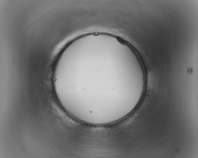 X0000112151502200908281328