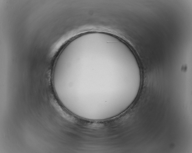 X0000112151503200908281328