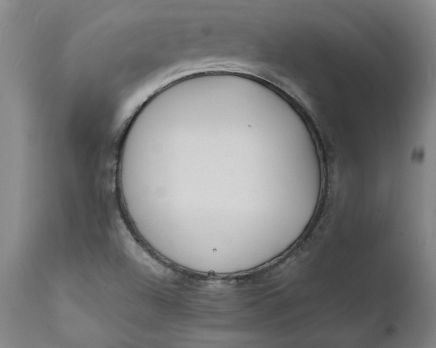 X0000112151504200908281328