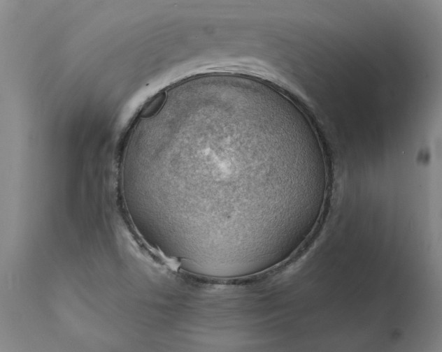 X0000112151506200908281328