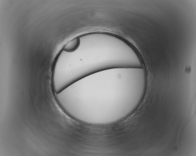 X0000112151508200908281328