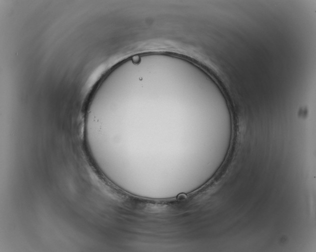 X0000112151509200908281328