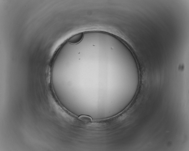 X0000112151510200908281328