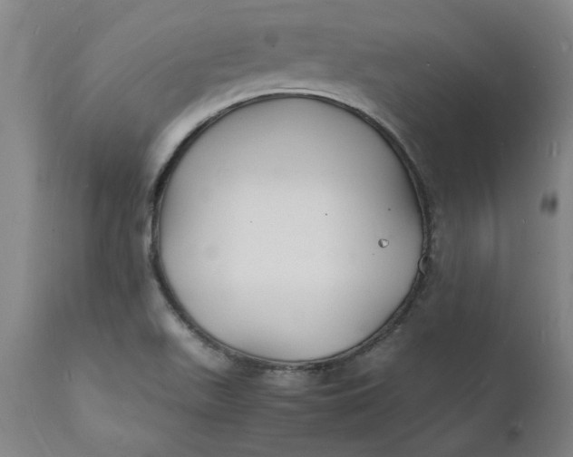 X0000112151511200908281328