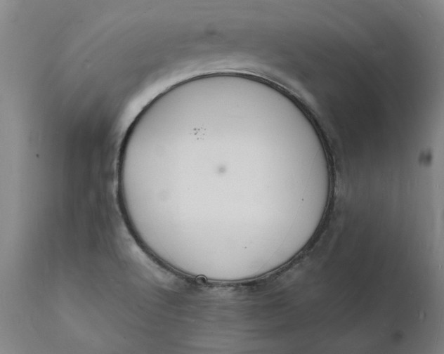X0000112151512200908281328