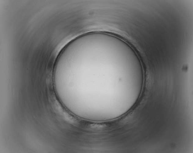 X0000112151513200908281328