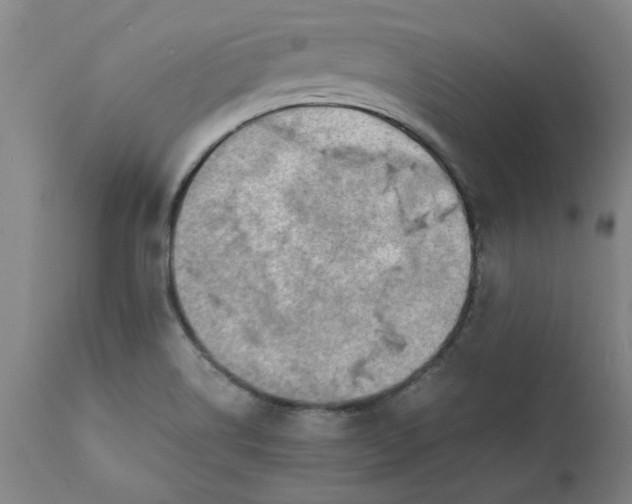 X0000112151514200908281328