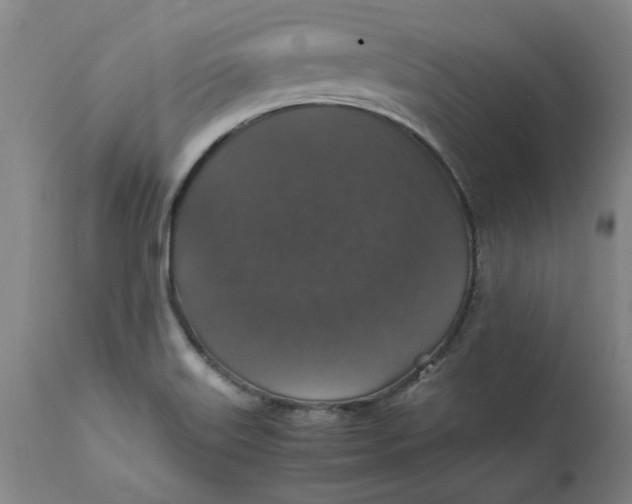 X0000112151515200908281328