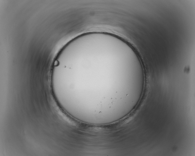 X0000112151517200908281328