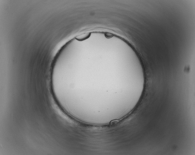 X0000112151518200908281328