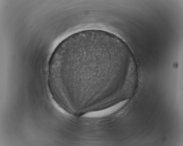 X0000112151519200908281328