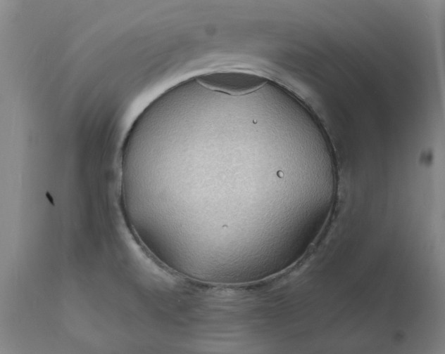 X0000112151520200908281328