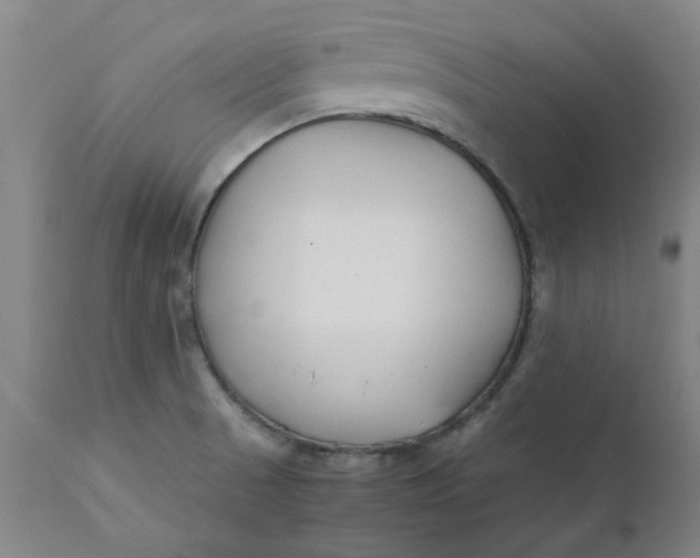 X0000112151521200908281328