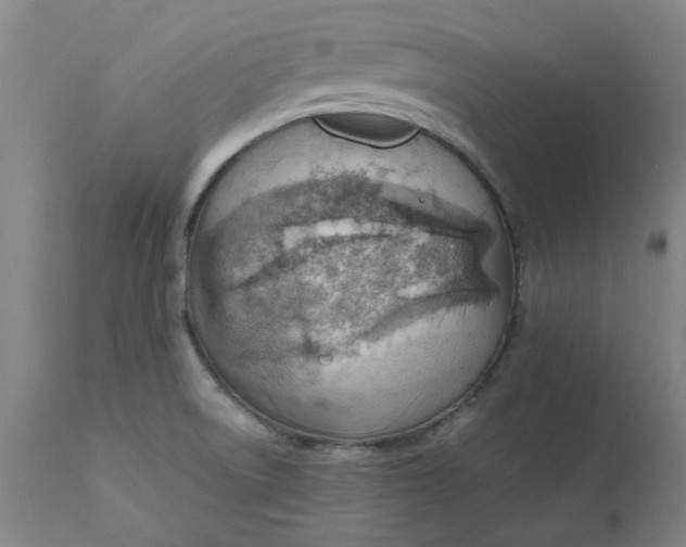 X0000112151522200908281328