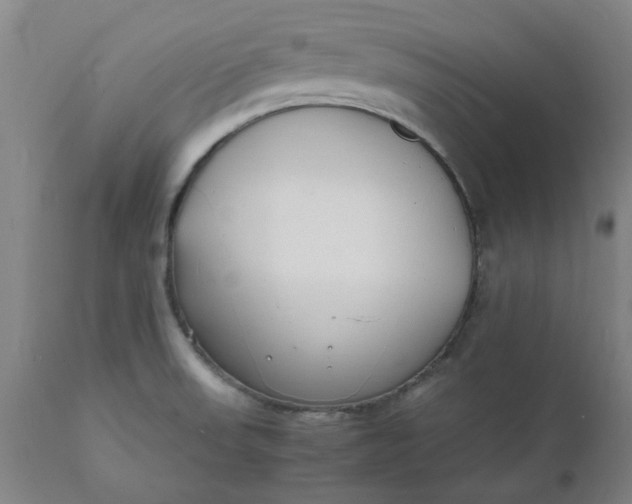 X0000112151523200908281328