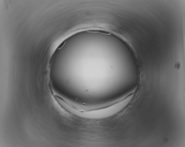 X0000112151524200908281328