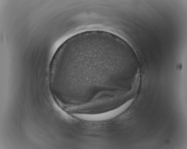 X0000112151527200908281328