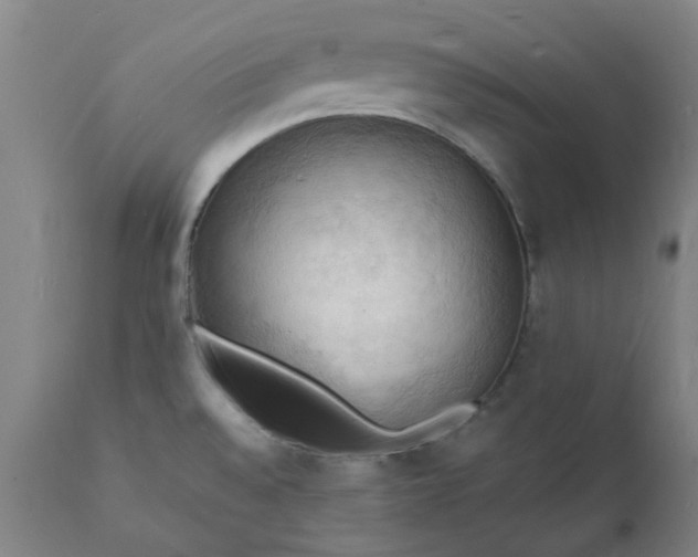 X0000112151528200908281328