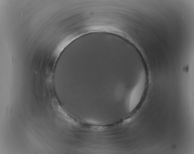 X0000112151529200908281328