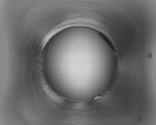 X0000112151530200908281328