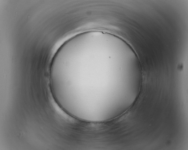 X0000112151531200908281328