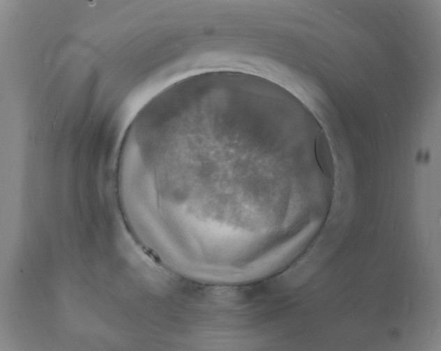 X0000112151536200908281328