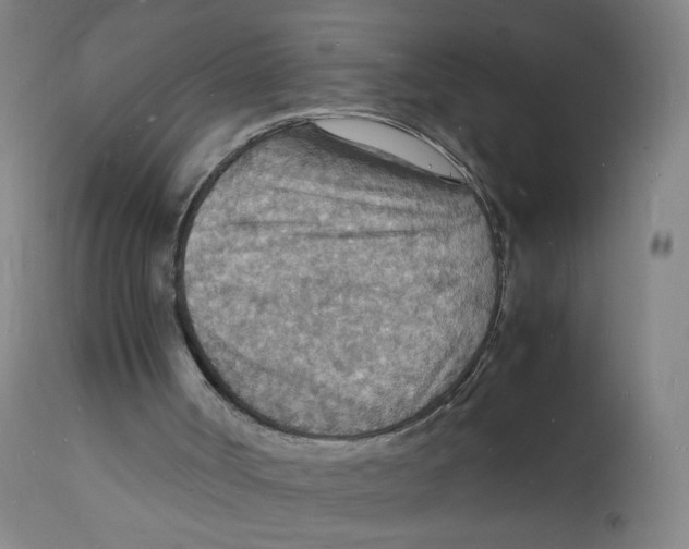 X0000112150002200909041114