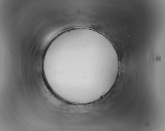 X0000112150005200909041114