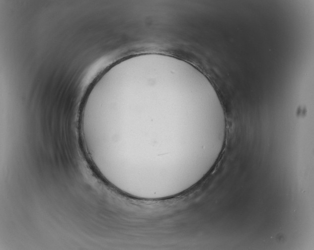 X0000112150006200909041114