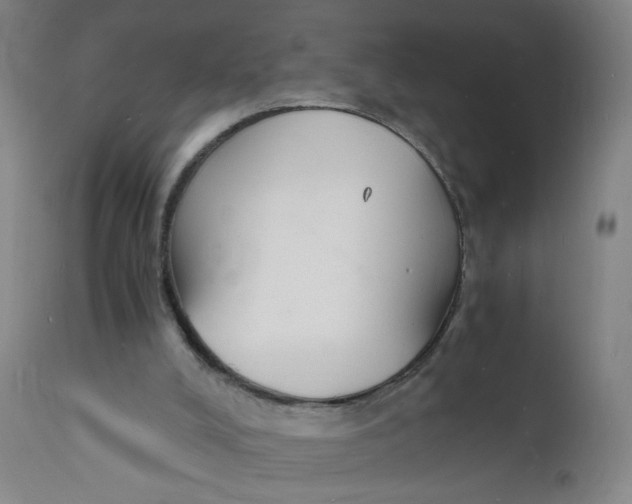 X0000112150008200909041114