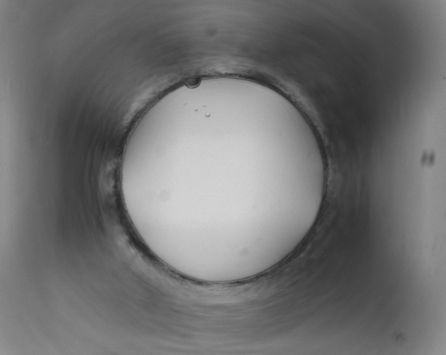 X0000112150010200909041114