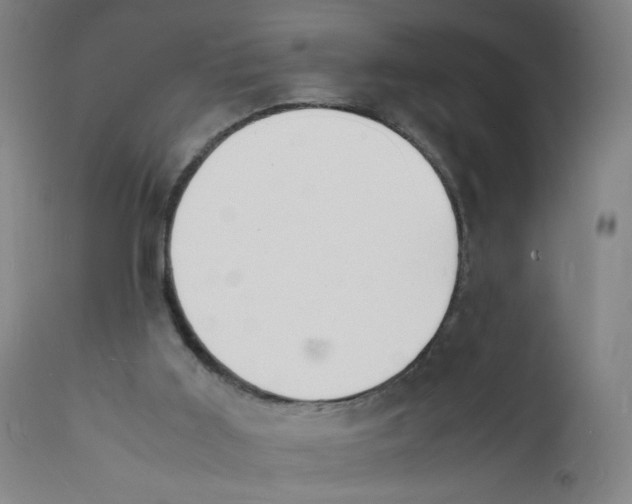 X0000112150011200909041114