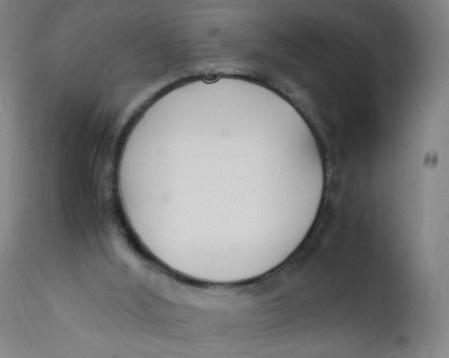 X0000112150012200909041114