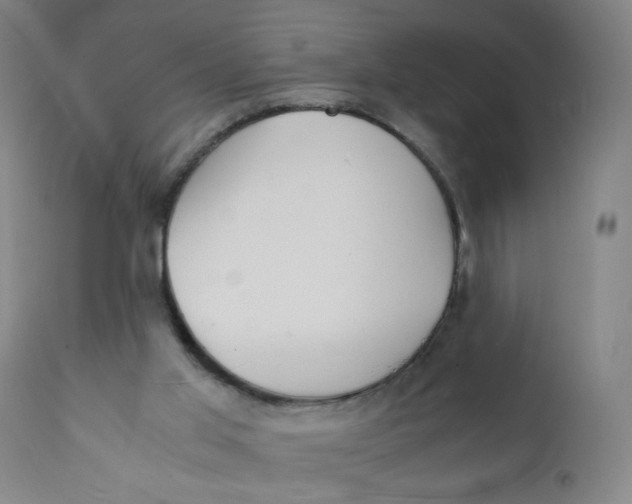 X0000112150013200909041114