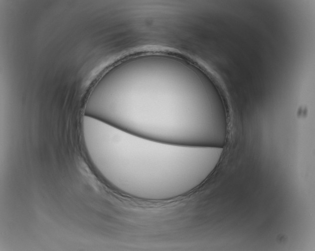 X0000112150015200909041114