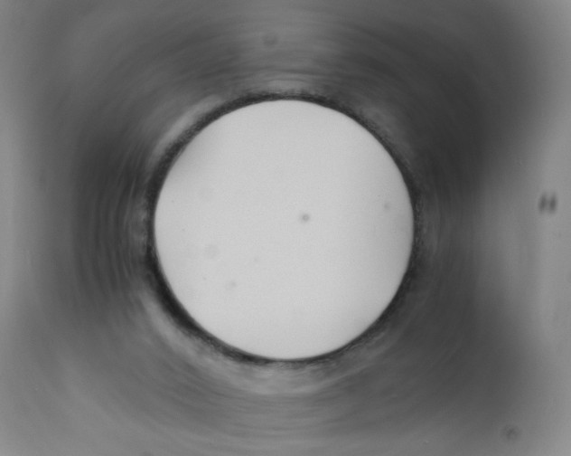 X0000112150016200909041114