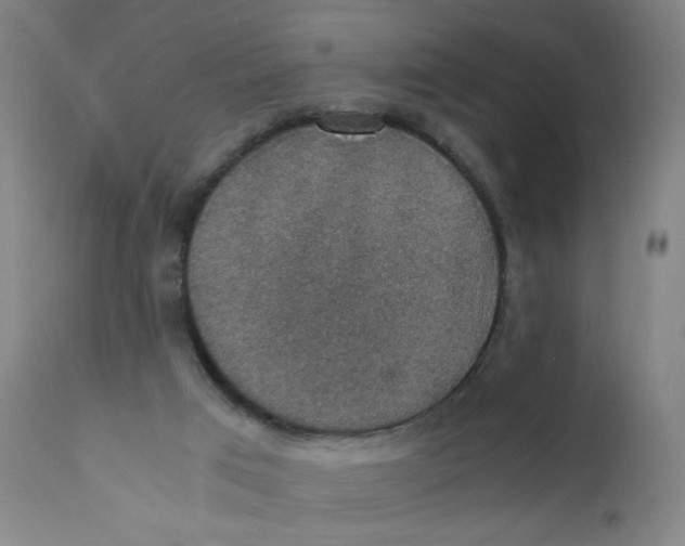 X0000112150017200909041114