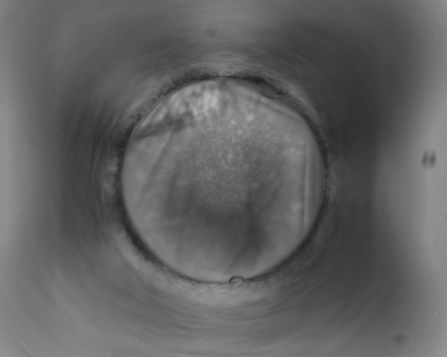 X0000112150018200909041114