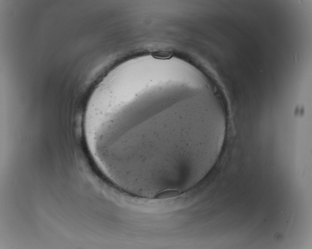 X0000112150019200909041114