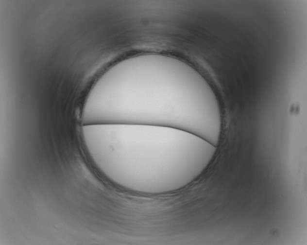 X0000112150020200909041114